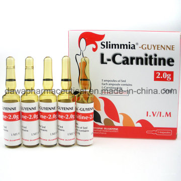 Stock en stock pour la L-Carnitine Injection Fat Burning 2.0g